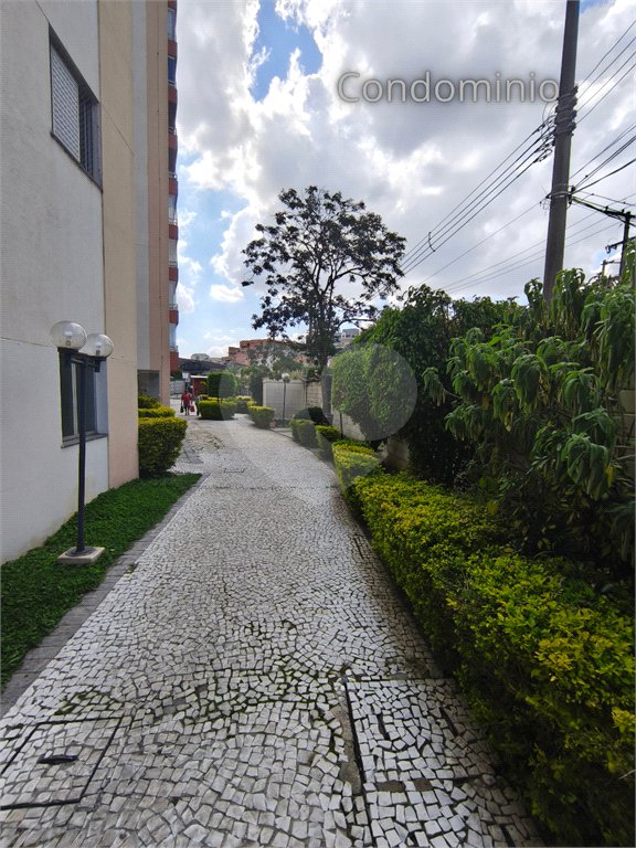 Apartamento à venda com 3 quartos em Vila Matilde, São Paulo, SP