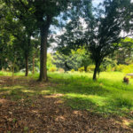 Terreno à venda em Tremembé, São Paulo, SP