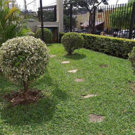 Apartamento à venda com 2 quartos em Jardim Ivana, São Paulo, SP