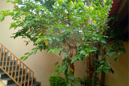 Casa à venda com 3 quartos, sendo 1 suíte,  em Mogi Moderno, Mogi das Cruzes, SP