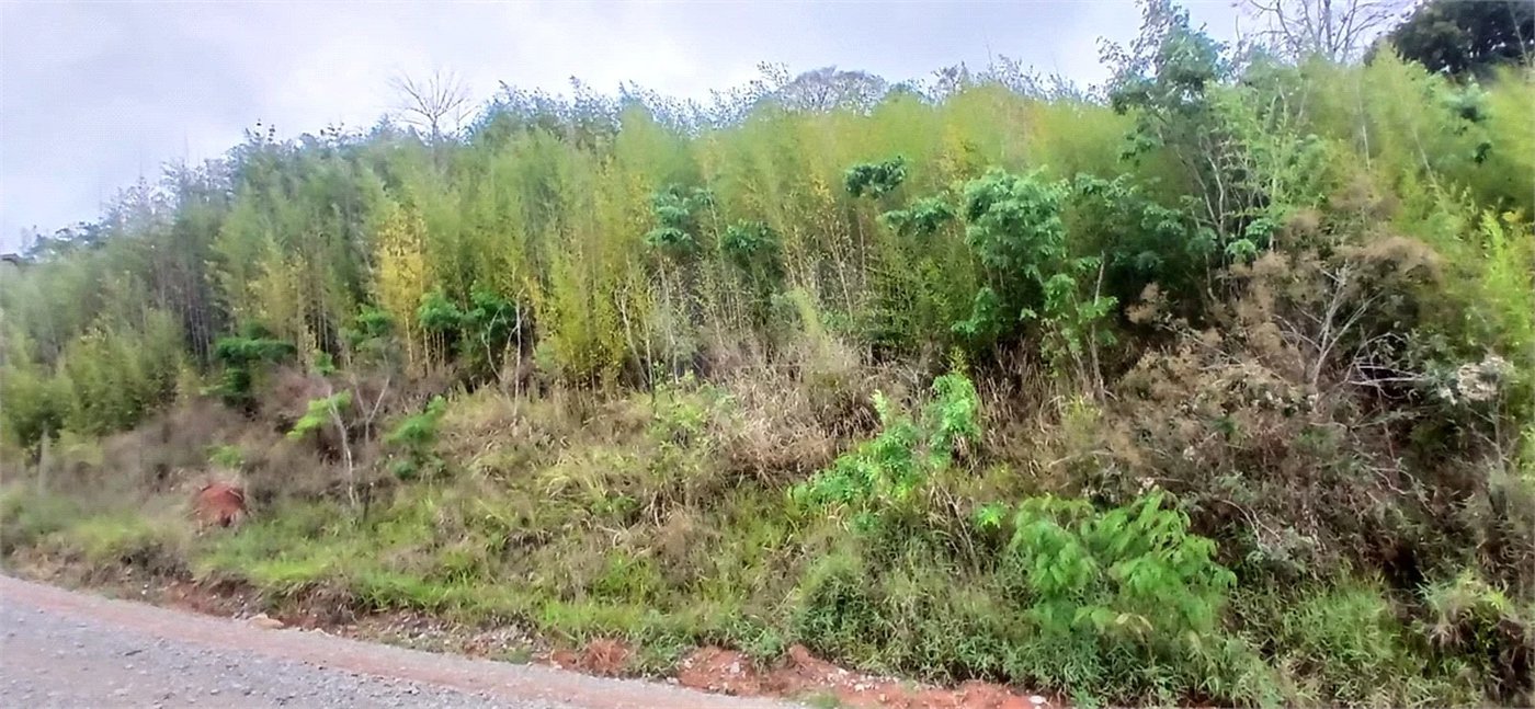 Terreno à venda em Luiz Fagundes, Mairiporã, SP