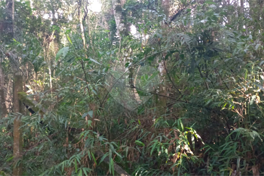 Terreno à venda em Serra da Cantareira, Mairiporã, SP