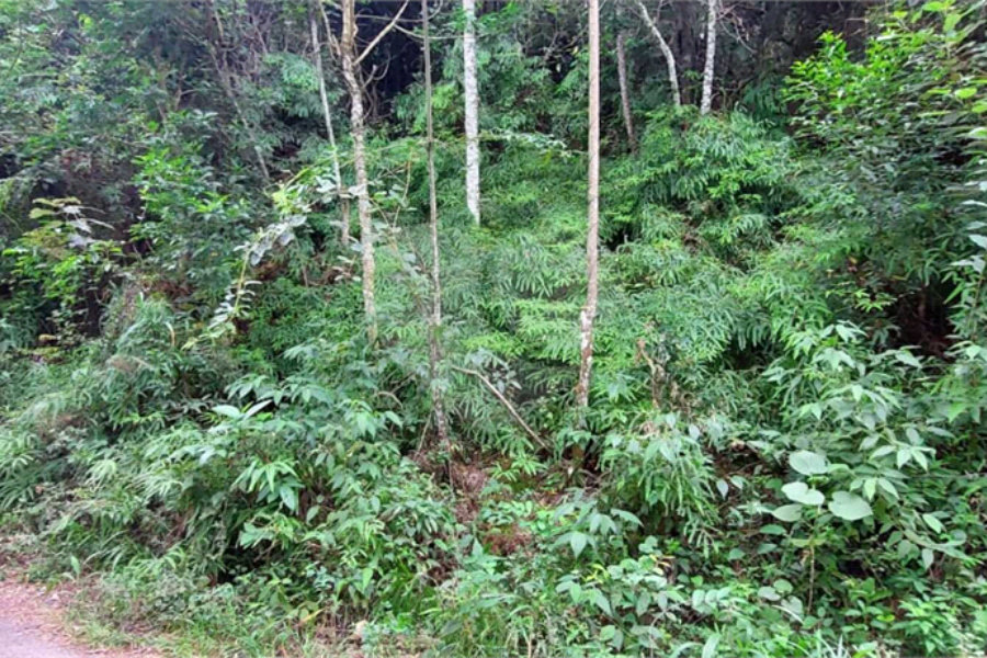 Terreno à venda no condomínio Sausalito, Mairiporã - SP
