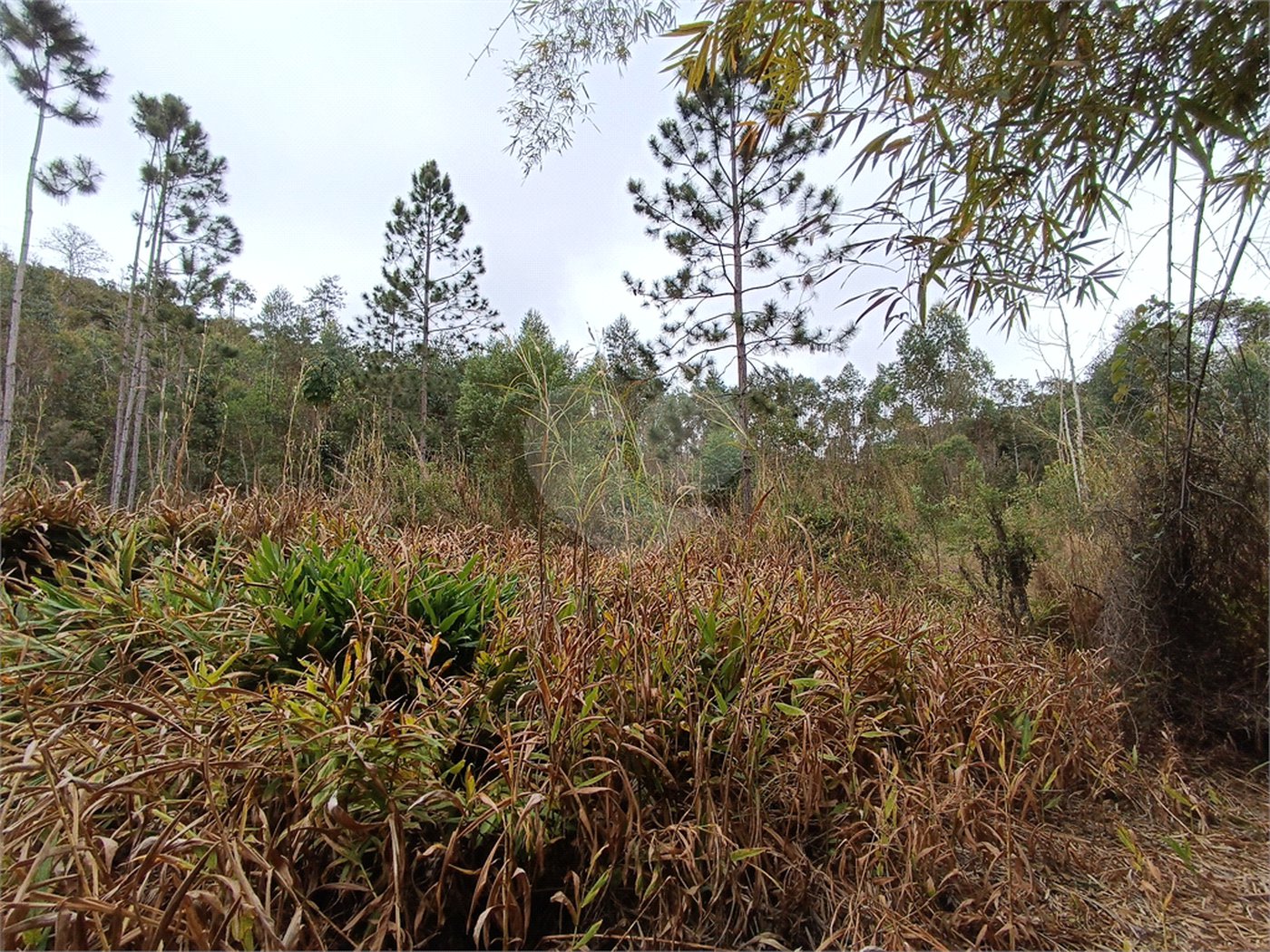 Terreno à venda em Vila Junqueira, São Roque, SP
