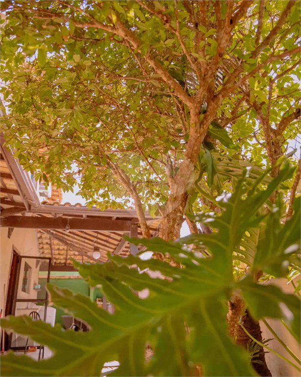 Casa à venda com 7 suítes em Bosque de Geribá, Armação dos Búzios, RJ