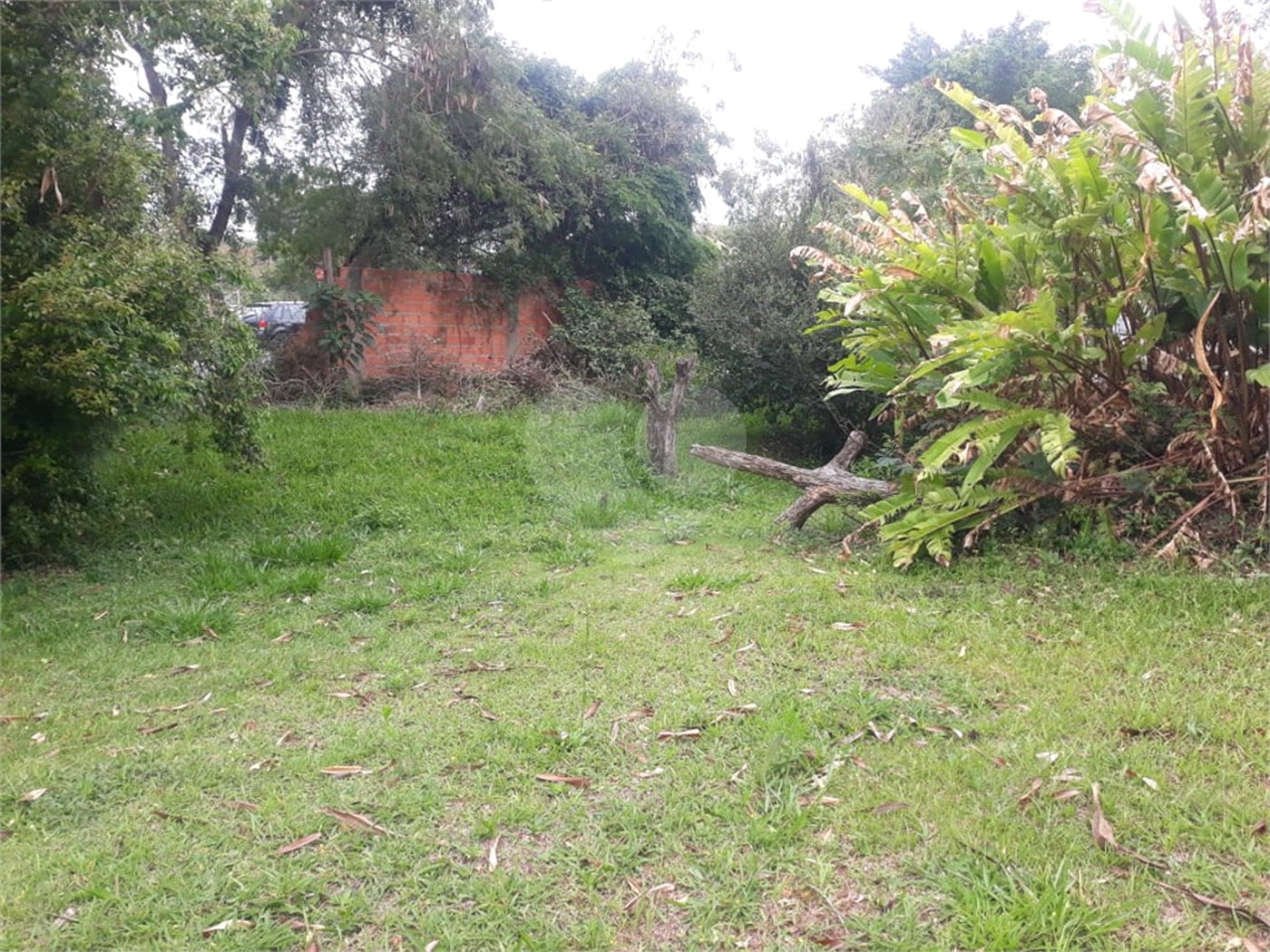 Terreno para alugar em Jardim Rene, São Roque, SP