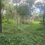 Chácara - São Carlos