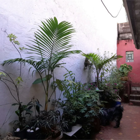 Casa à venda com 4 quartos em Vila Ipojuca, São Paulo, SP