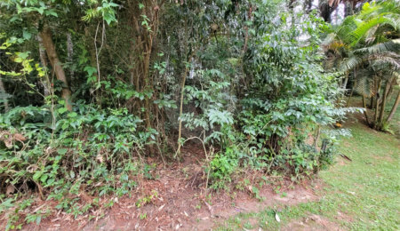 Terreno à venda no condomínio Alpes da Cantareira, Mairiporã - SP