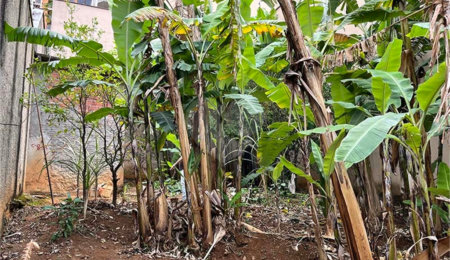 Terreno à venda em Santana, São Paulo, SP