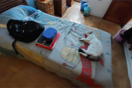 Casa à venda com 6 quartos, sendo 3 suítes, em Grajaú, Rio de Janeiro, RJ