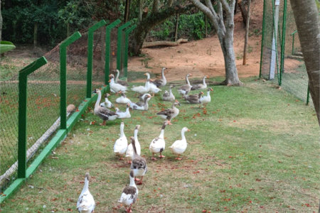 Casa à venda com 3 suítes no condomínio Terras de São Francisco, Vinhedo - SP