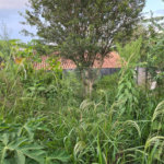 Casa à venda com 2 quartos, sendo 1 suíte, em Ressaca, Atibaia, SP