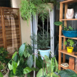 Apartamento à venda com 3 suítes em Lapa, São Paulo, SP