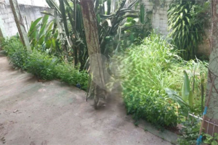 Sobrado à venda com 5 quartos, sendo 2 suítes,  em Parque São Domingos, São Paulo, SP
