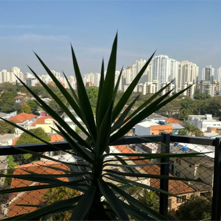 Apartamento à venda com 3 suítes em Bela Aliança, São Paulo, SP