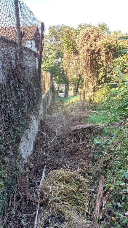 Terreno à venda em Vila Tramontano, São Paulo, SP