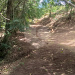Sítio à venda no Centro, Monte Sião, MG