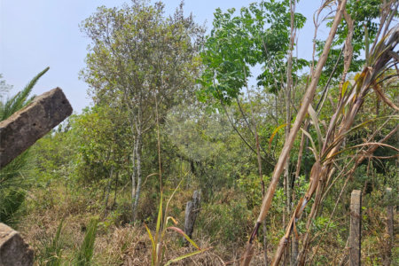 Terreno à venda em Curral, Ibiúna, SP