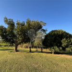 Sítio à venda com 3 quartos, sendo 1 suíte,  em Canta Galo, Itapetininga, SP