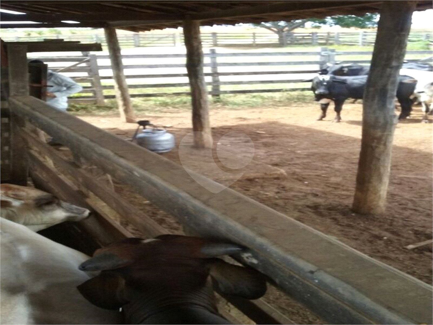 Fazenda à venda com 2 quartos em Canabrava, João Pinheiro, MG