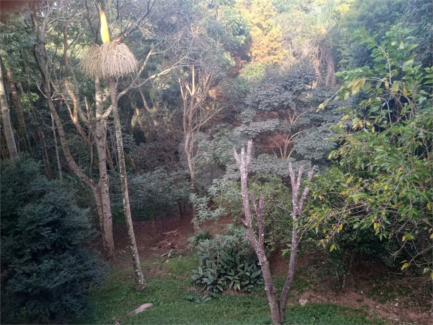 Chácara à venda com 7 quartos, sendo 3 suítes, em Saboó, São Roque, SP