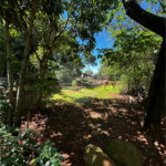 Terreno à venda em Residencial Emilio de Andrade, Ponta Porã, MS