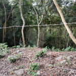 Terreno à venda no condomínio Alpes da Cantareira, Mairiporã - SP