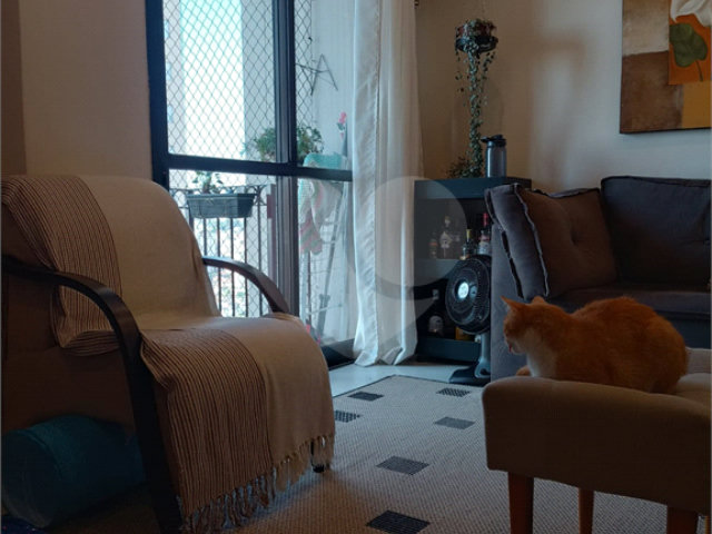 Apartamento à venda com 3 quartos, sendo 1 suíte,  em Mandaqui, São Paulo, SP