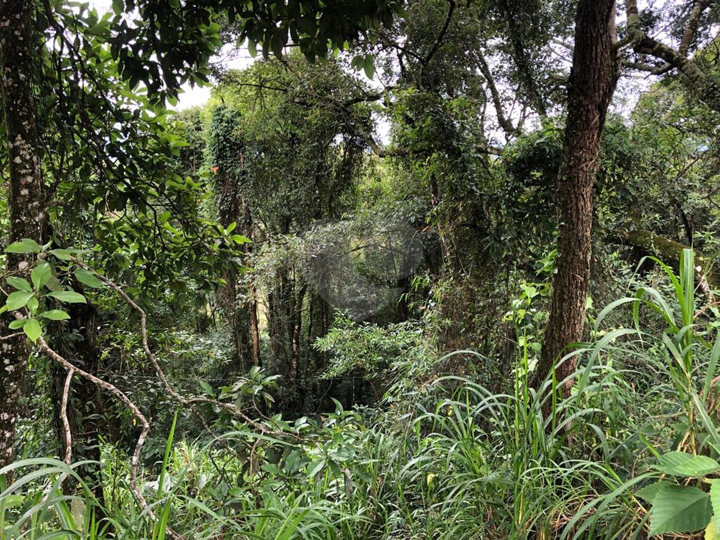 Terreno à venda no condomínio Gleba E2, Mairiporã - SP