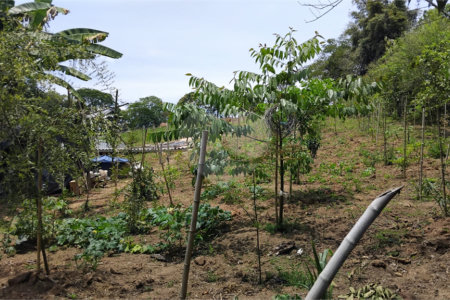 Chácara à venda com 2 quartos em Vila Caputera, Mogi das Cruzes, SP