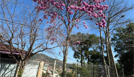Terreno à venda em Jardim Meny, São Roque, SP