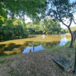 Casa em condomínio à venda com 3 quartos, sendo 1 suíte,  em Jardim Ibiti do Paço, Sorocaba, SP
