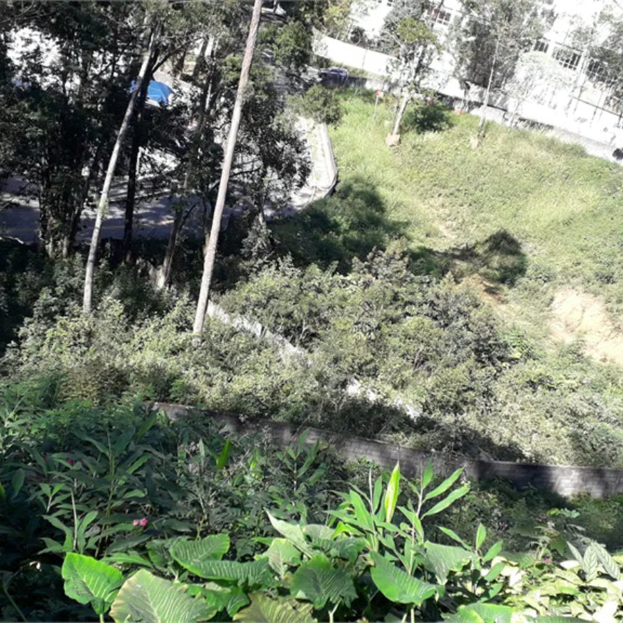 Terreno à venda ou para alugar em Vila Andrade, São Paulo, SP