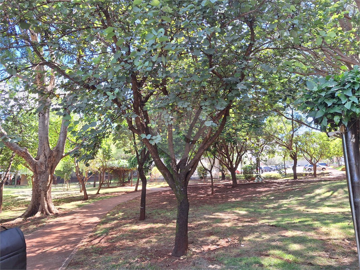 Apartamento à venda com 2 quartos em Reserva Sul Condomínio Resort, Ribeirão Preto, SP