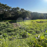 Terreno à venda em Vila Santista, Atibaia, SP