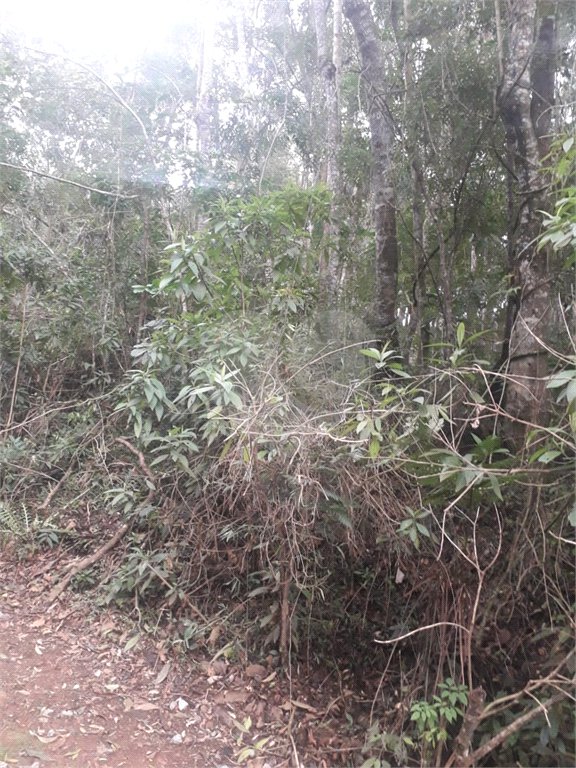Terreno à venda em Suasalito, Mairiporã, SP