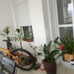 Apartamento à venda com 3 suítes em Freguesia do Ó, São Paulo, SP