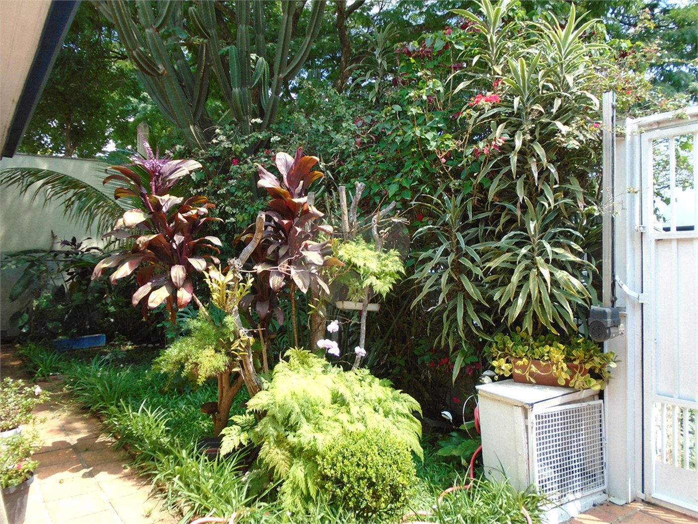 Casa Térrea à venda com 3 quartos em Campo Belo, São Paulo, SP