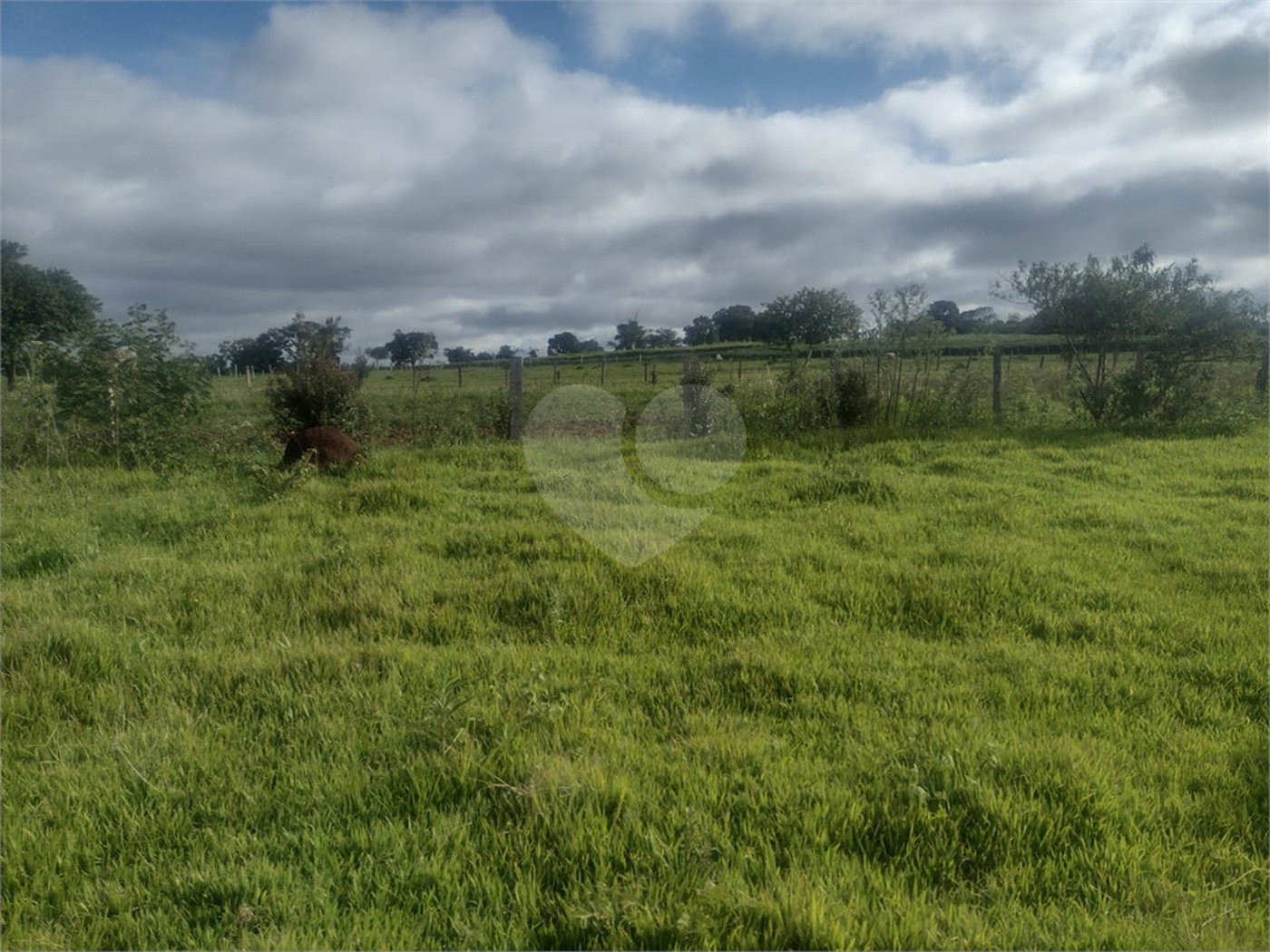 Terreno à venda em Área Rural de Guareí, Guareí, SP