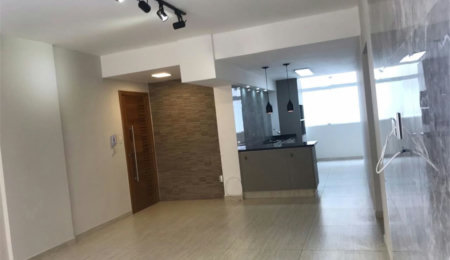 Apartamento Residencial à venda, José Menino, Santos - AP0530.