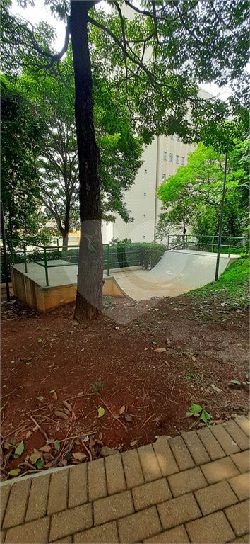 Apartamento à venda com 4 quartos, sendo 3 suítes, em Cambuci, São Paulo, SP