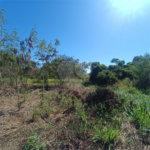 Terreno à venda em Praia Rasa, Armação dos Búzios, RJ