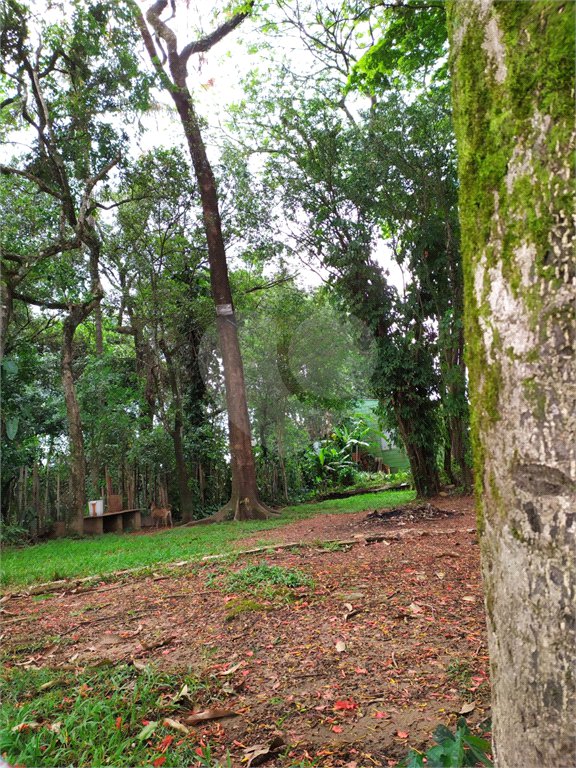 Chácara à venda com 5 quartos, sendo 2 suítes,  em Chácara Recreio Danubio, Holambra, SP