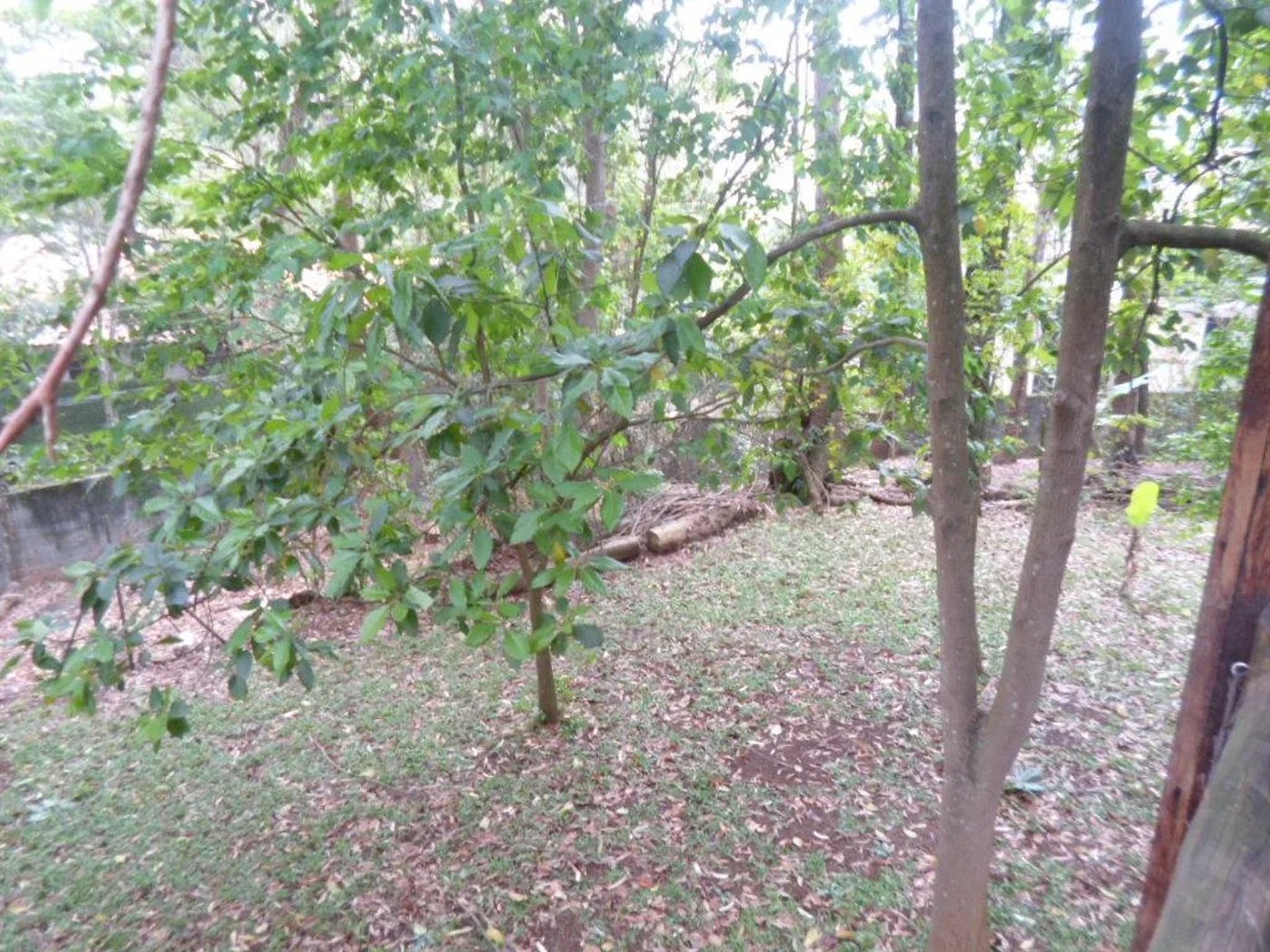 Sobrado à venda com 5 quartos, sendo 3 suítes,  em Fazenda Morumbi, São Paulo, SP