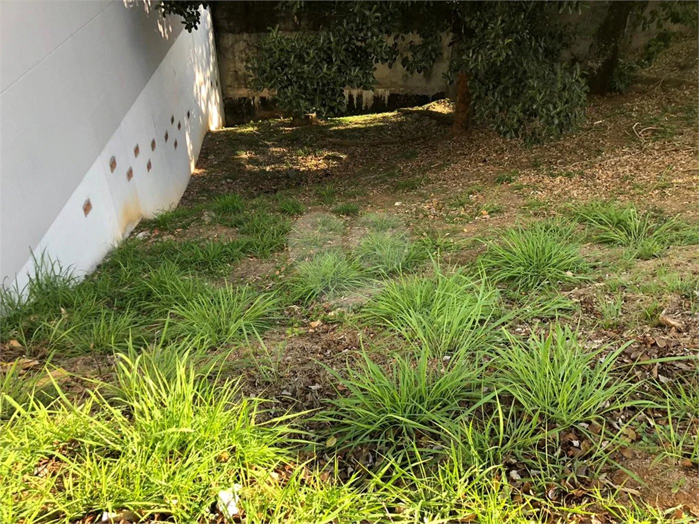 Terreno à venda em Horto, São Paulo, SP