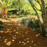 Sítio à venda com 2 quartos em Área Rural de Lagoinha, Lagoinha, SP