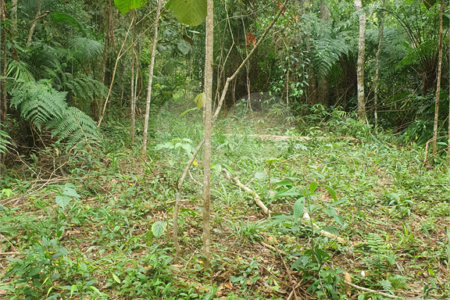 Terreno à venda em Vila Moraes, Mogi das Cruzes, SP
