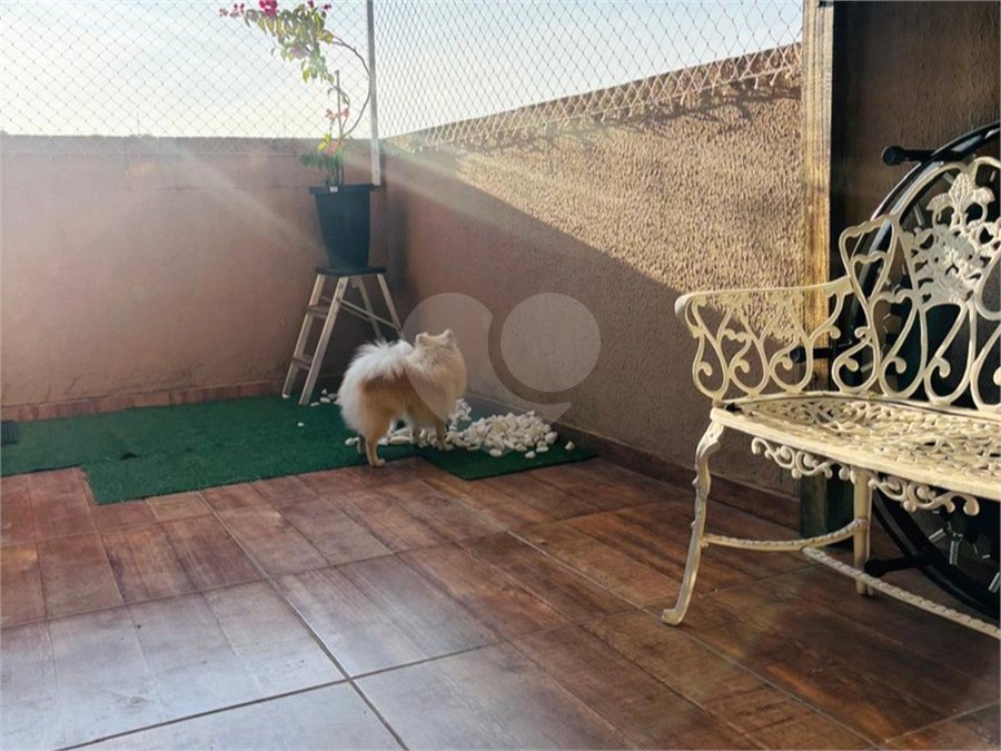 Apartamento à venda ou para alugar com 3 quartos em Jardim Ipanema, Sorocaba, SP