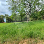 GLEBAS RURAIS EM PIRACAIA A PARTIR 20.000 M², EXCELENTE PARA CHÁCARAS E FAZENDINHAS